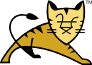 Tomcat Server's icon
