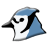 BlueJ's icon