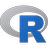 R's icon