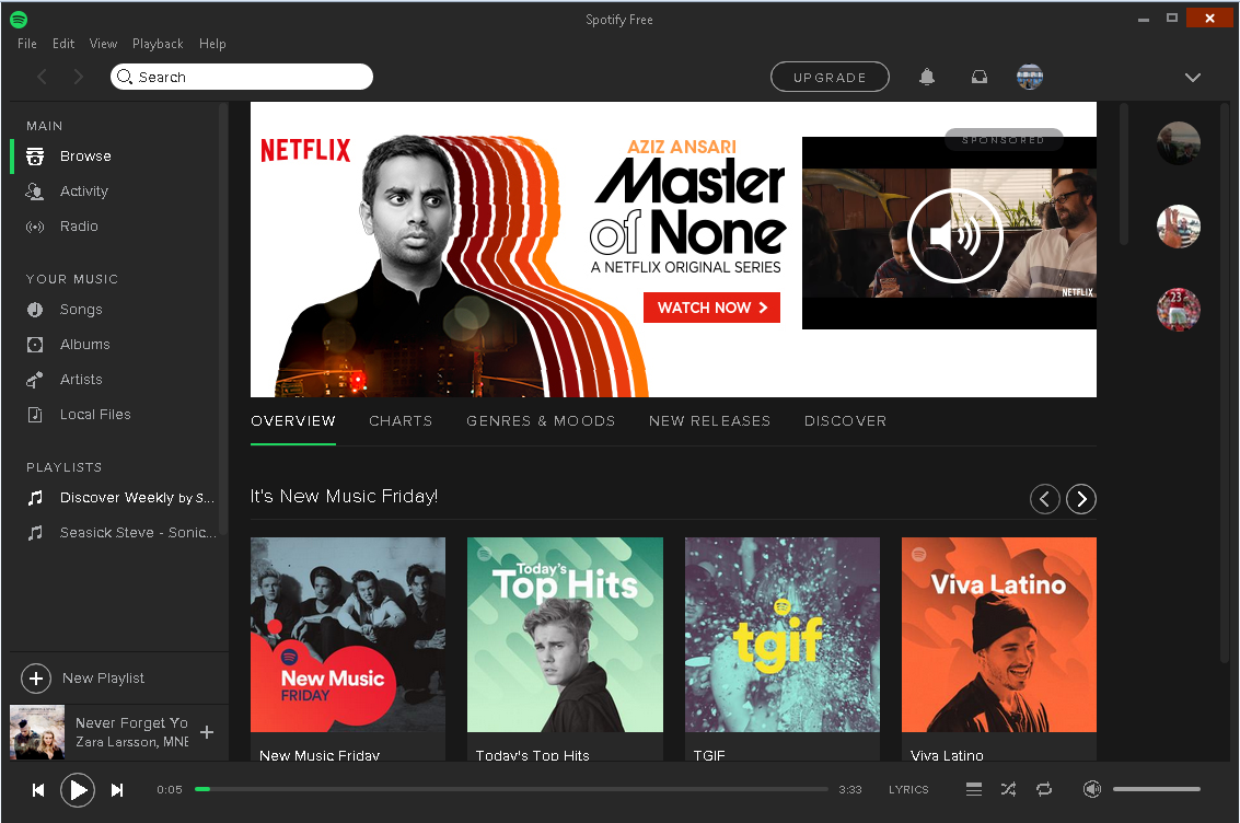 Spotify's screenshot